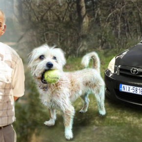 He got lost with his dog and his car…