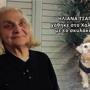 Άφαντη η γιαγιά με το σκυλάκι της…